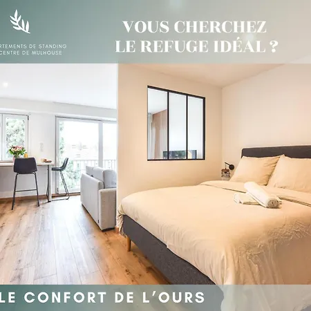 Le Repaire Du Grizzly Apartment Mulhouse Exterior photo